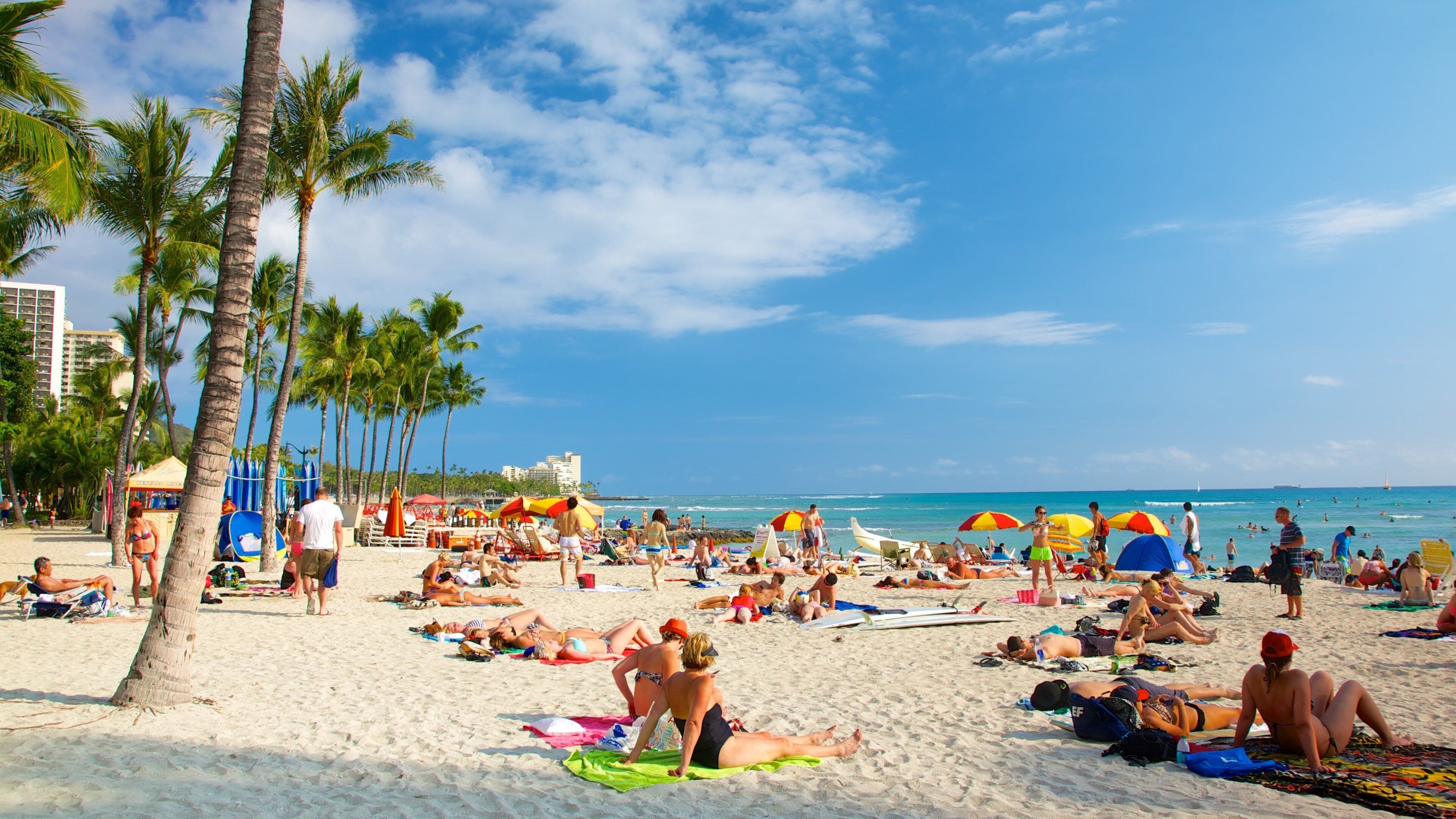 オアフ島 フィーチャー ビーチ と 常夏の風景 及び 大勢の人々