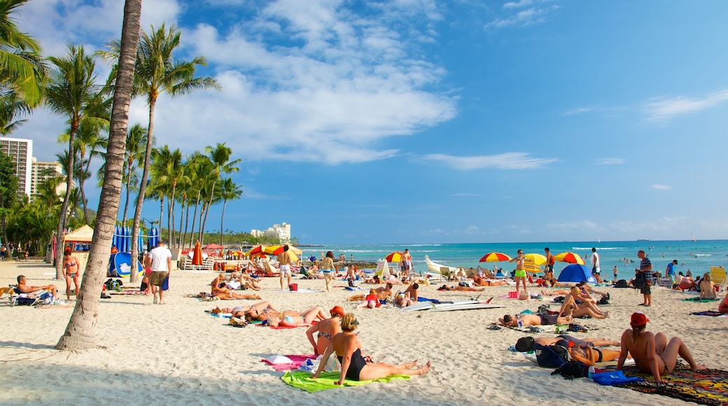 Oahu Island which includes a beach and tropical scenes as well as a large group of people