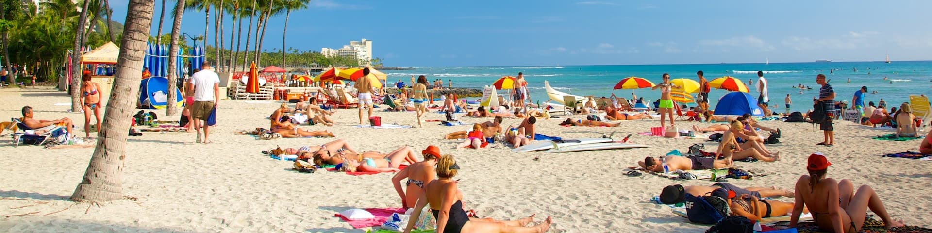 Oahu Island which includes a beach and tropical scenes as well as a large group of people