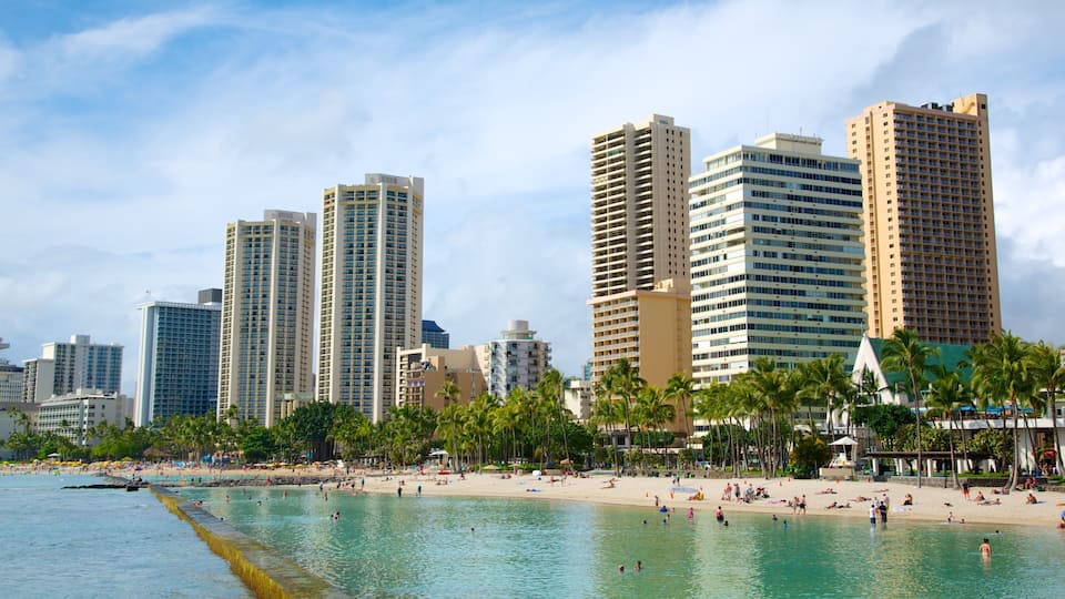 Honolulu showing a coastal town, tropical scenes and a city