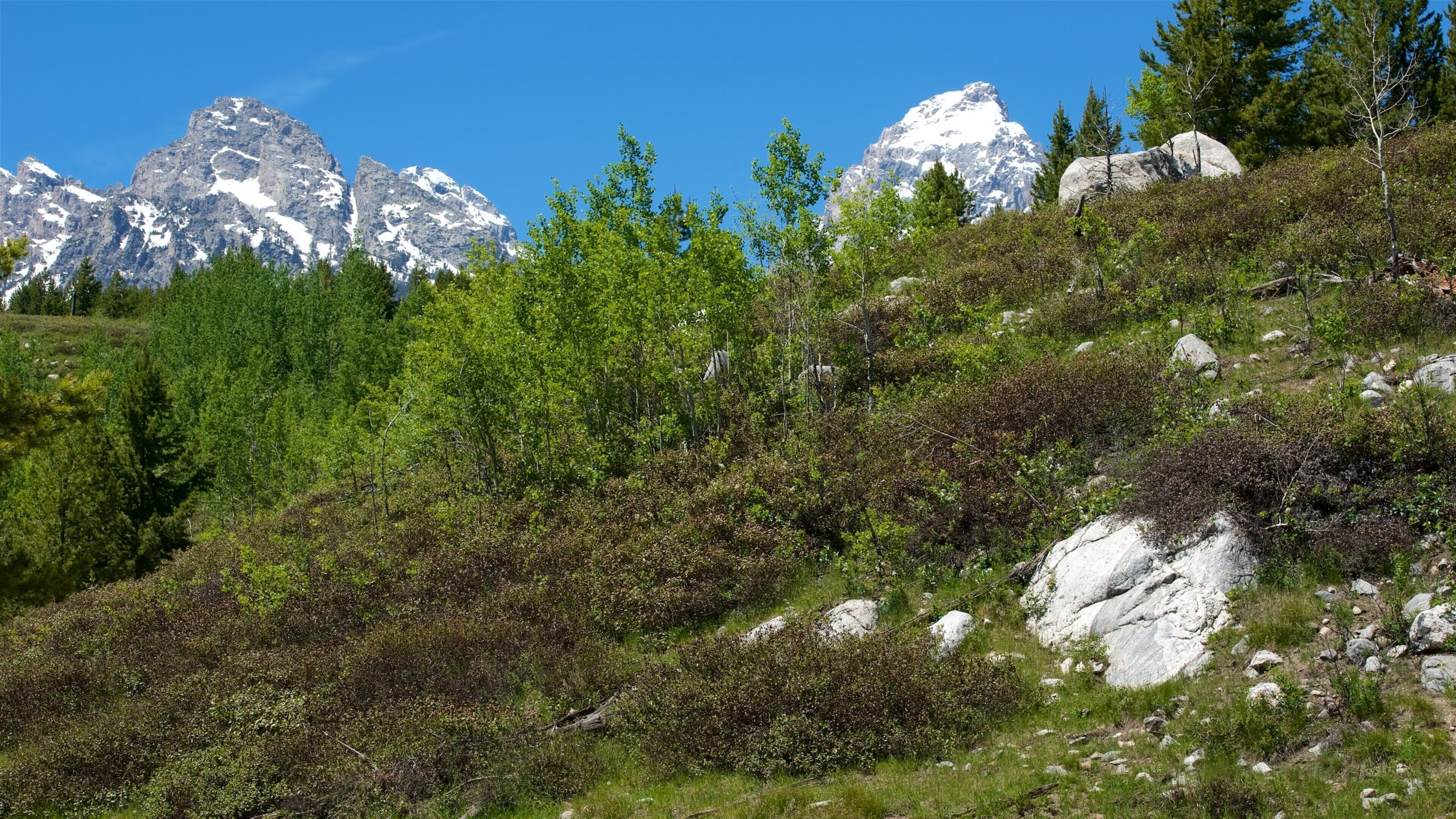 怀俄明的大蒂顿山国家公园| Expedia