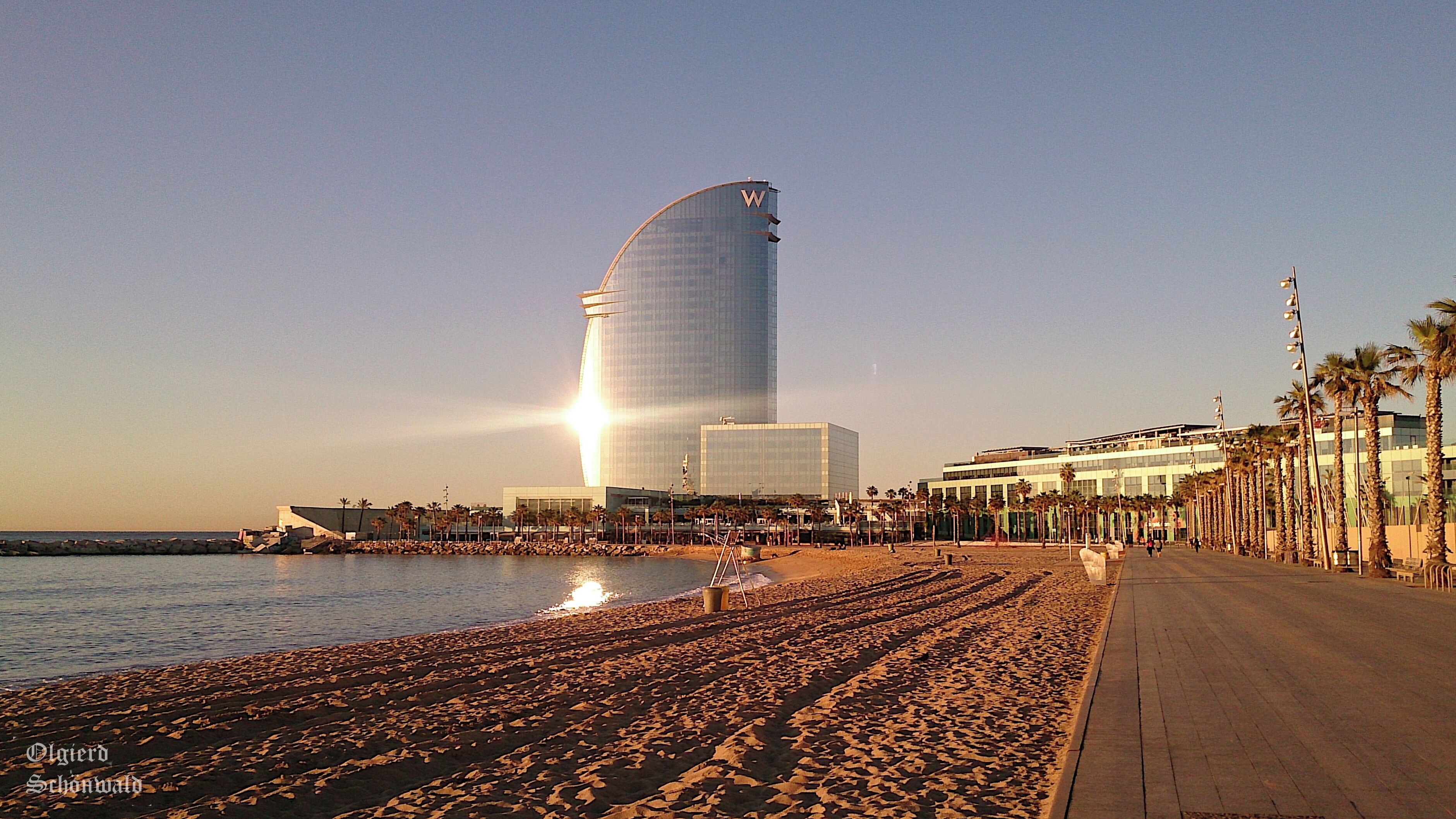A beach with a curved building, palm trees, and a clear sky.