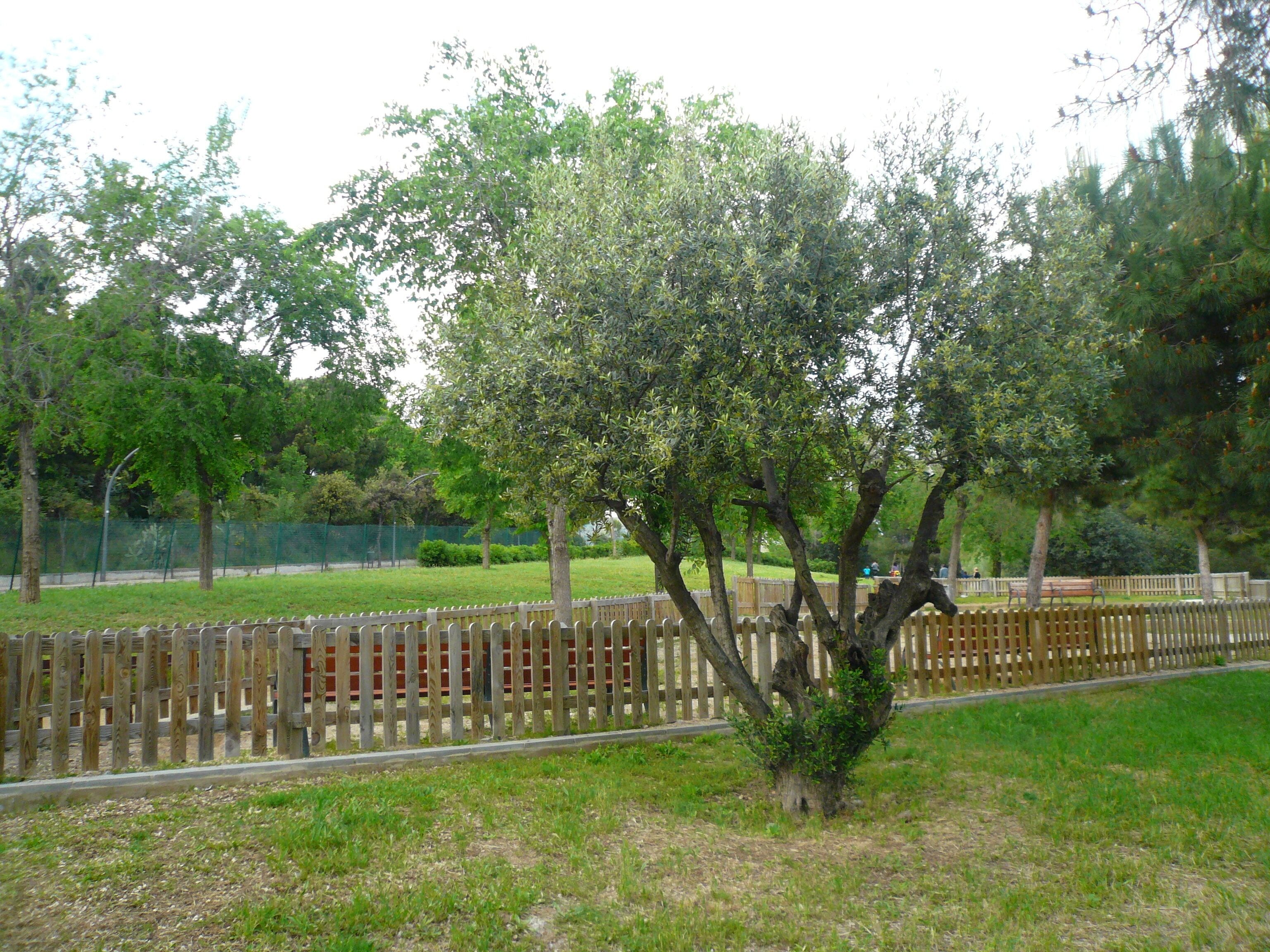 This is a photo of public art indexed in the cataloge Art Públic of Barcelona (Spain) under the code number