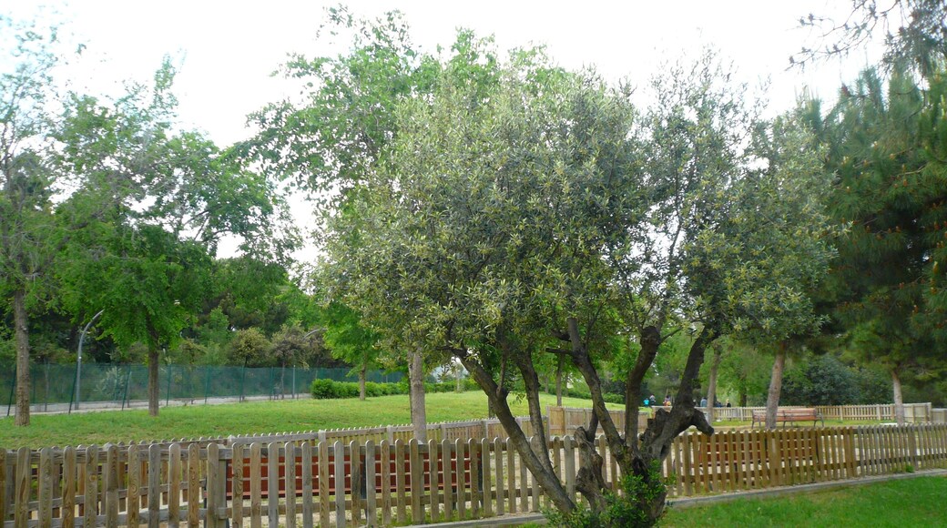 This is a photo of public art indexed in the cataloge Art Públic of Barcelona (Spain) under the code number