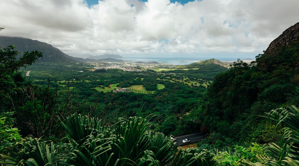 Hawaiian Mountain View