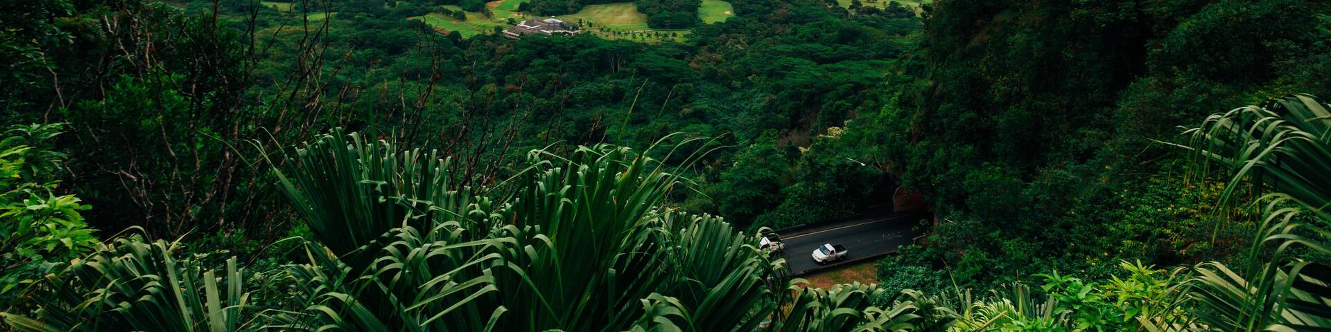 Hawaiian Mountain View