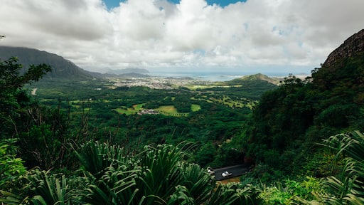 Hawaiian Mountain View