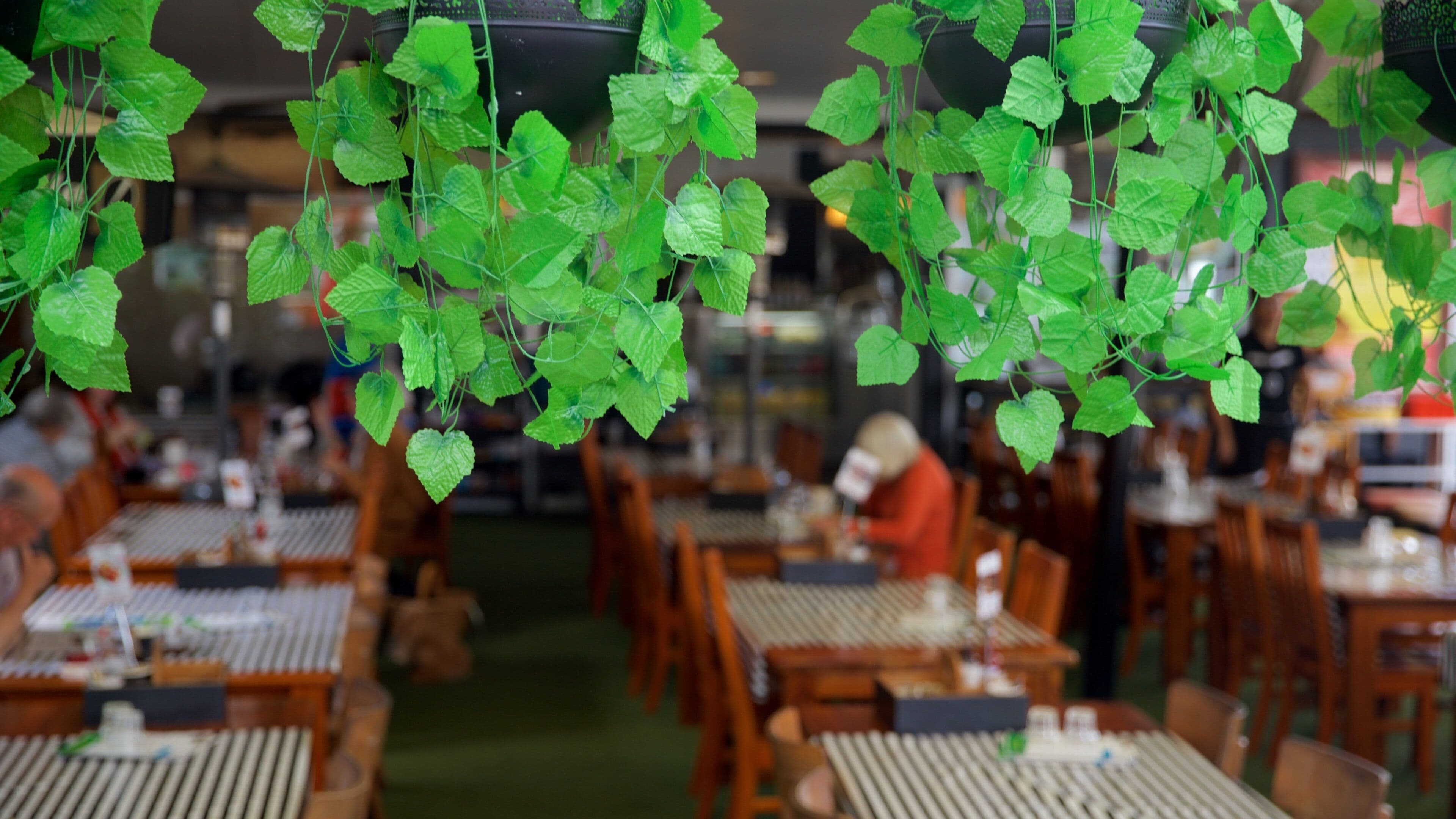 Paddington which includes cafe scenes and interior views