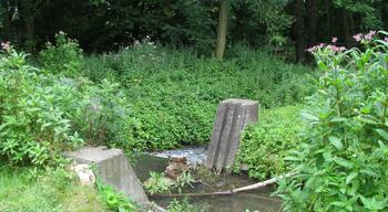 der Beginn des Überlaufs von der Strunde zum Faulbach