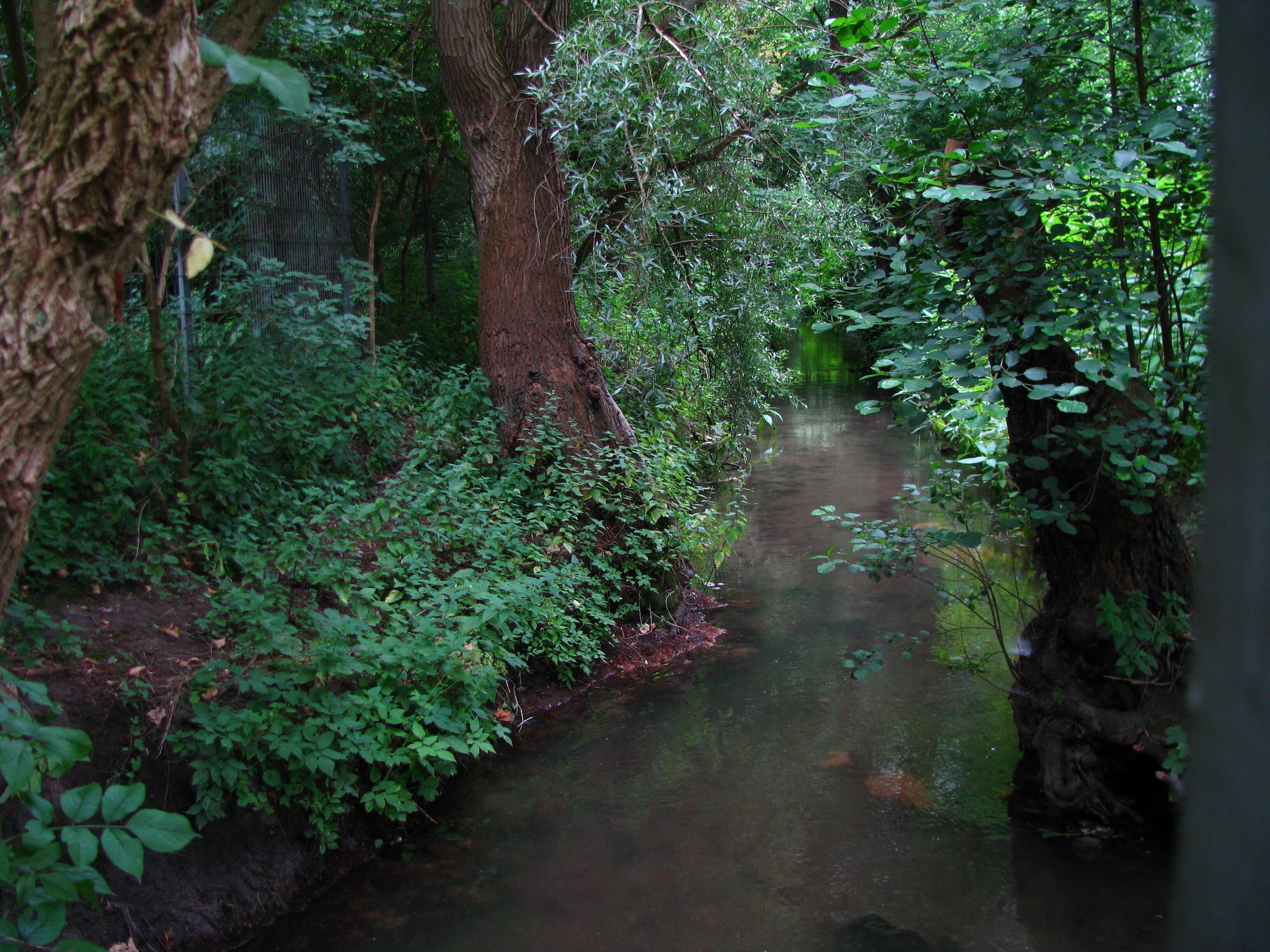 die Strunde nördlich des Kreuzungsbauwerks mit dem Faulbach