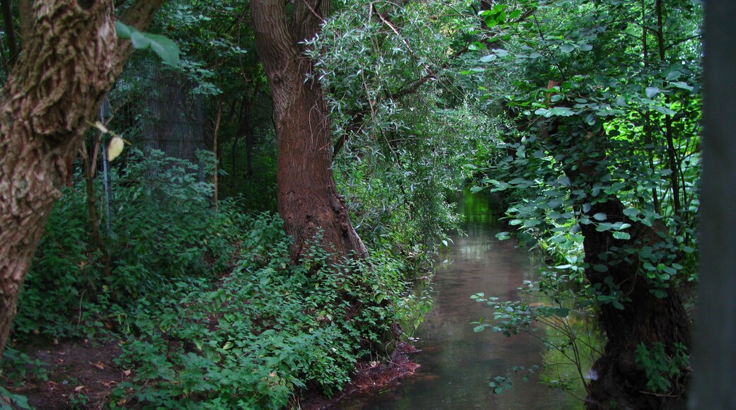 die Strunde nördlich des Kreuzungsbauwerks mit dem Faulbach