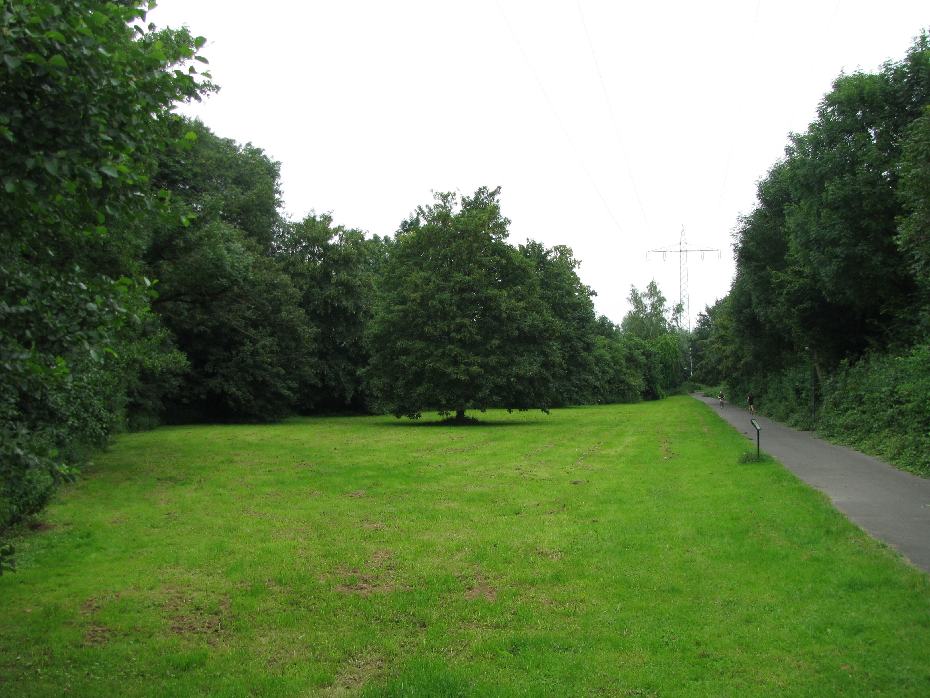 gemähte Wiese im Schutzgebiet Strunderbach an der Wichheimer Mühle
