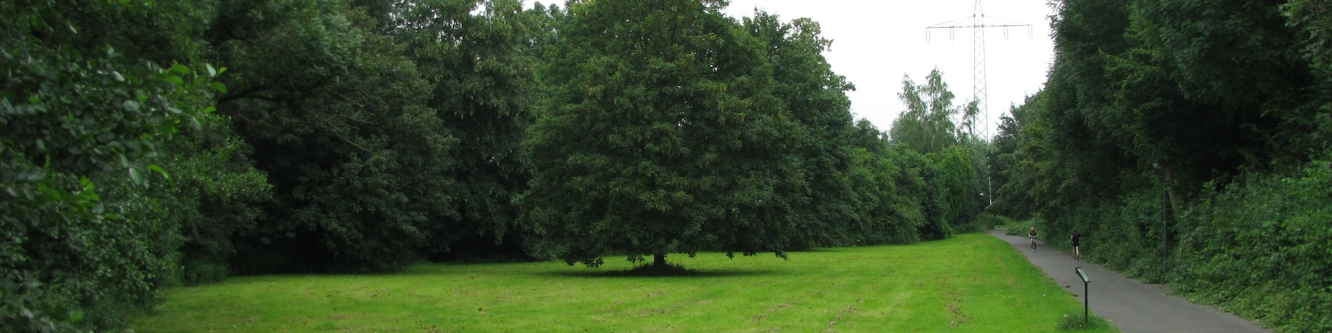 gemähte Wiese im Schutzgebiet Strunderbach an der Wichheimer Mühle