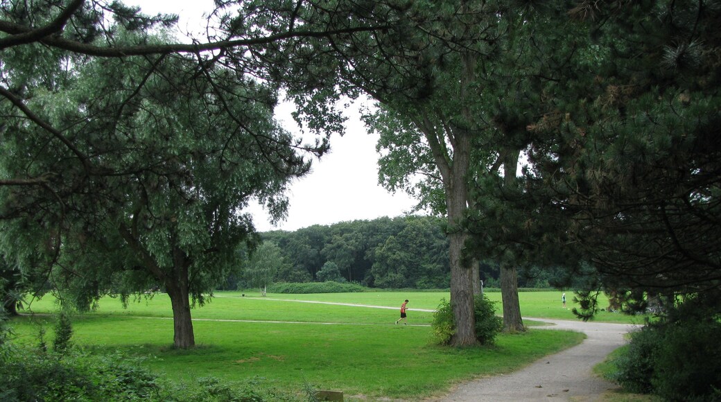 Blick auf die Merheimer Heide von der FuĂgĂ€ngerbrĂŒck von Merheim kommend