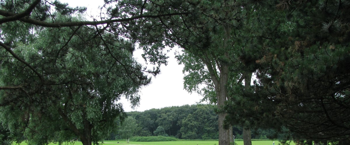Blick auf die Merheimer Heide von der Fußgängerbrück von Merheim kommend