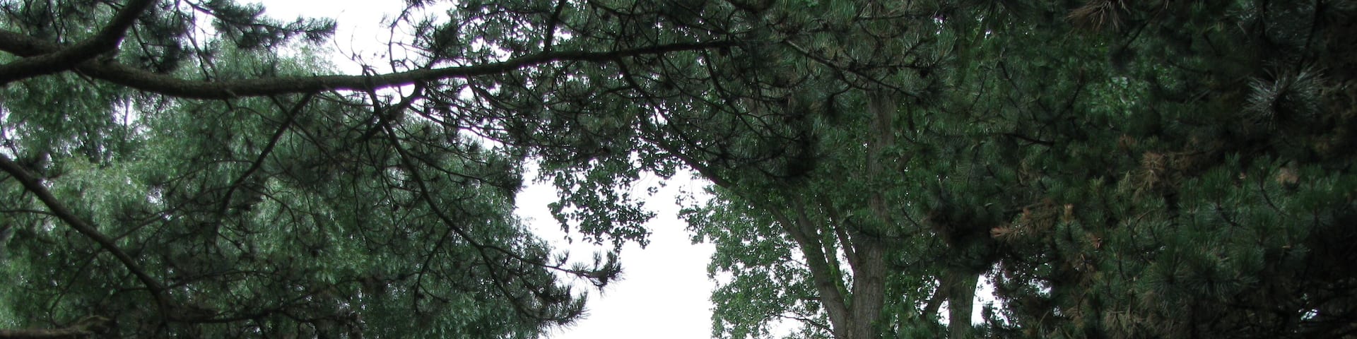 Blick auf die Merheimer Heide von der Fußgängerbrück von Merheim kommend