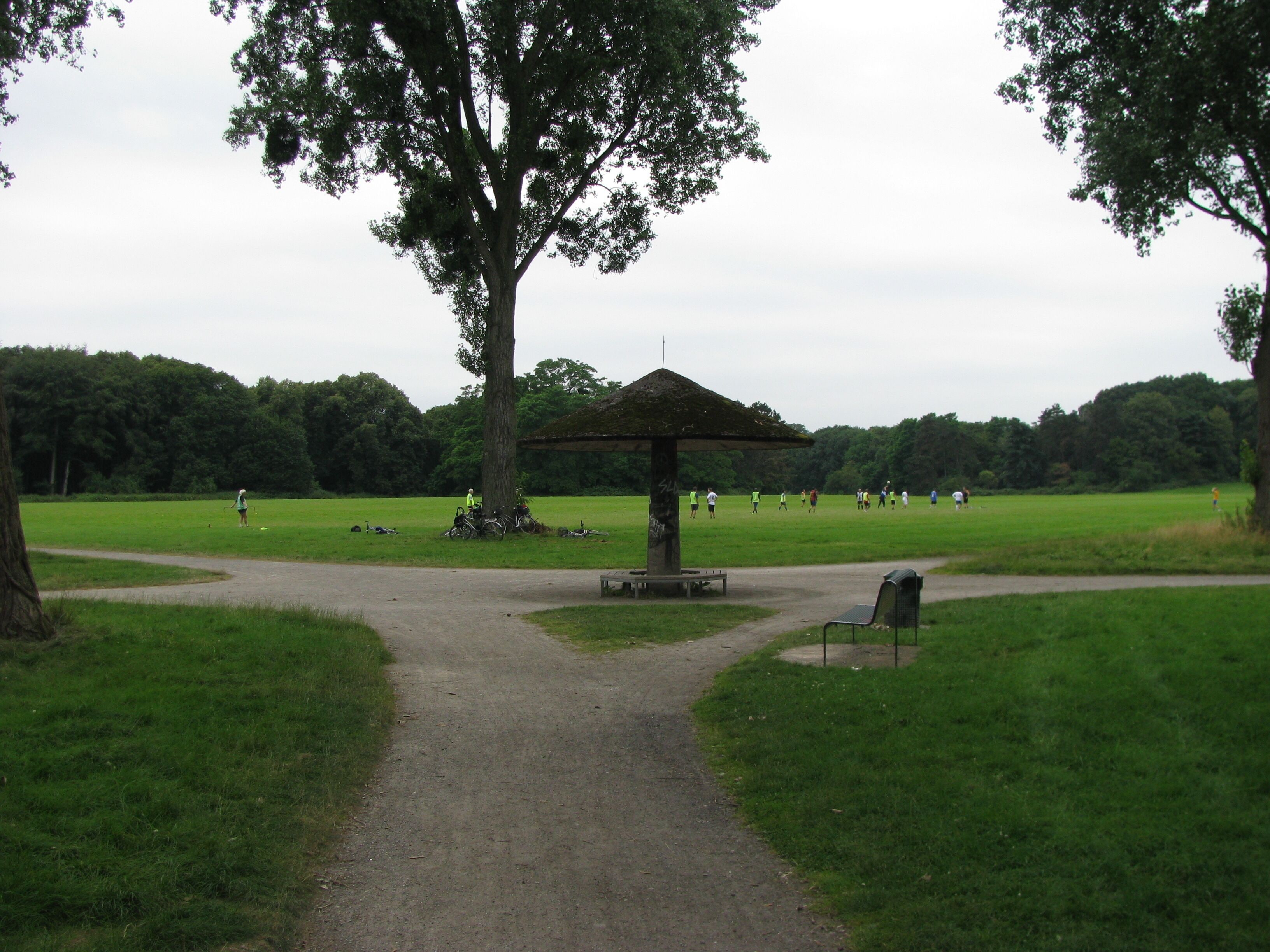 Blick auf die Merheimer Heide von der Fußgängerbrück von Merheim kommend, mit Schutzpilz auf der Wegekreuzung