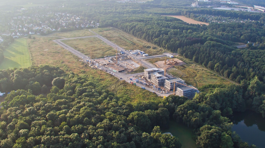 Ballonfahrt über Köln - Waldbadviertel Langendahlweg
