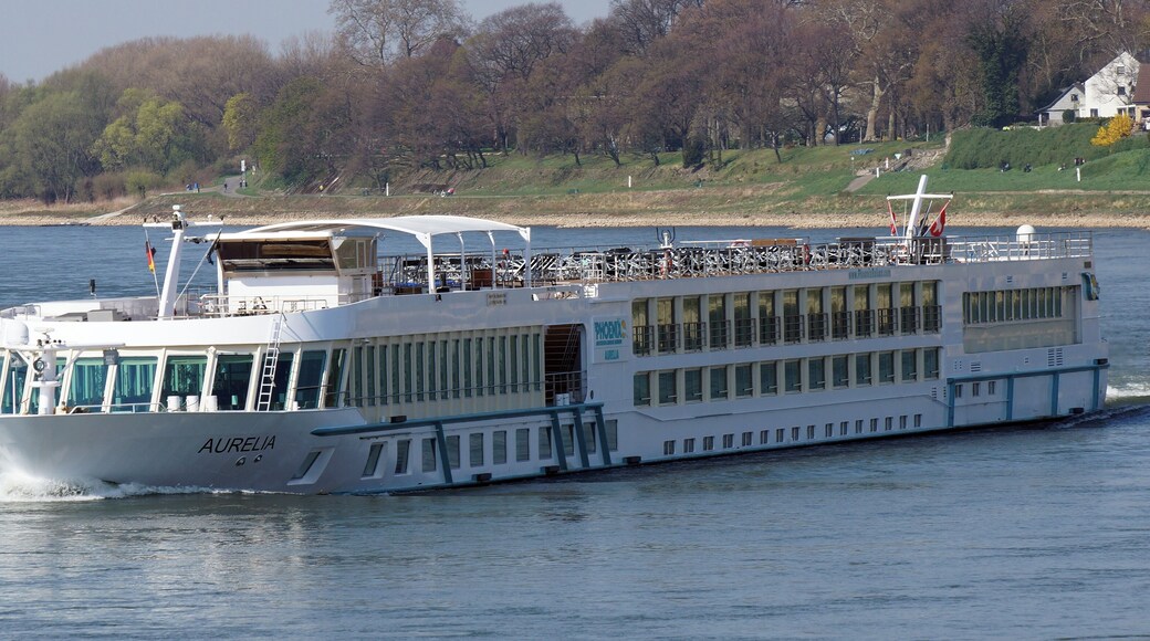 River cruise ship Aurelia in Cologne-Stammheim.