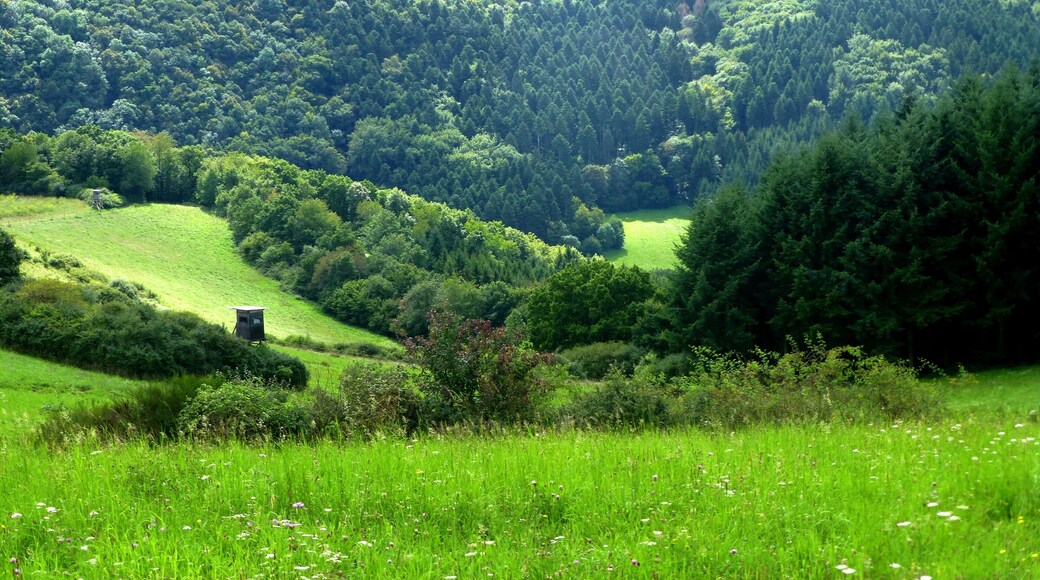 Landschaft zwischen Brauweiler und Heinzenberg