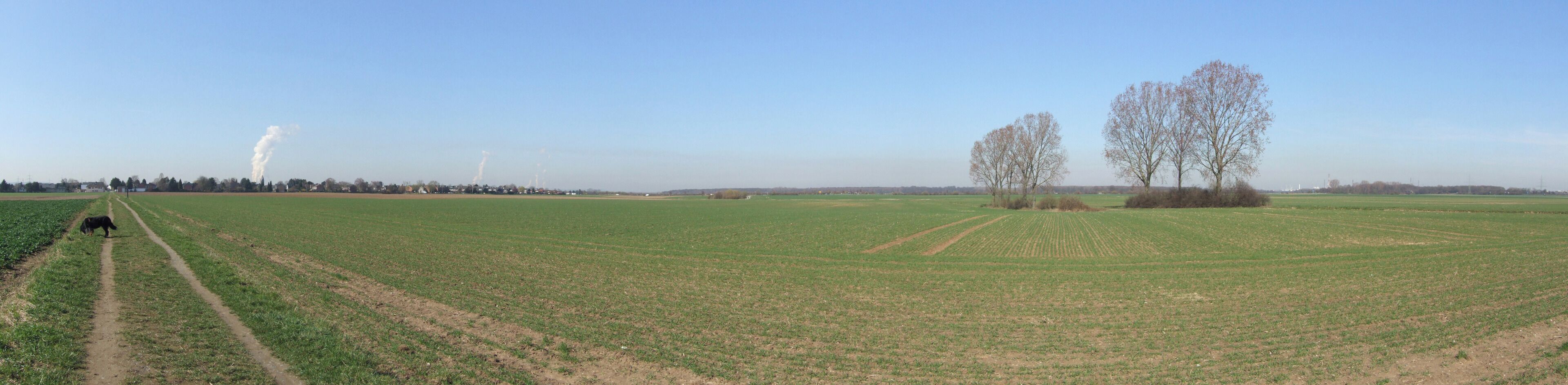 Sinnersdorfer Feld Panorama 2