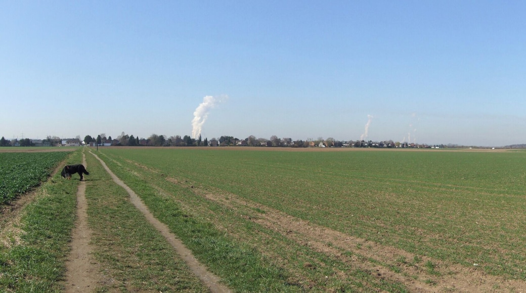 Sinnersdorfer Feld Panorama 2