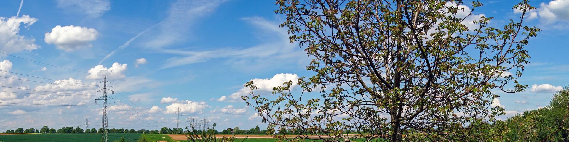 Grüne Kulturlandschaft