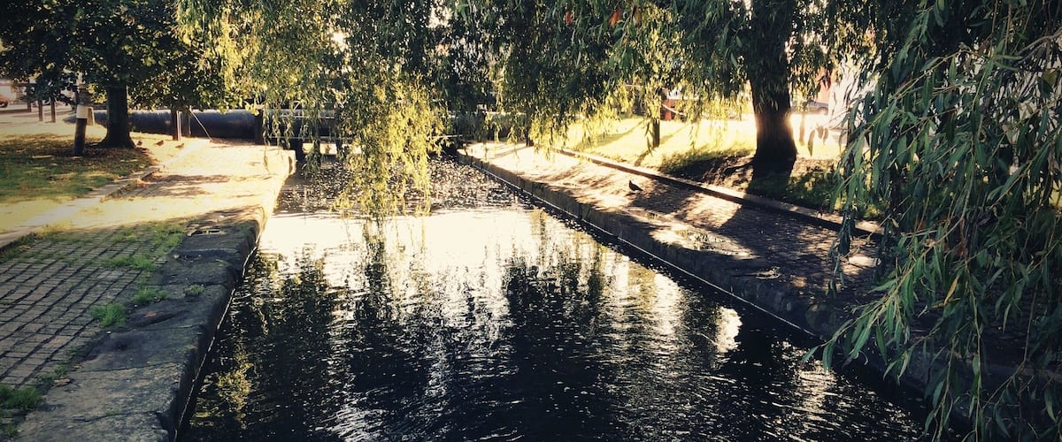 Lake in drumcodra street.