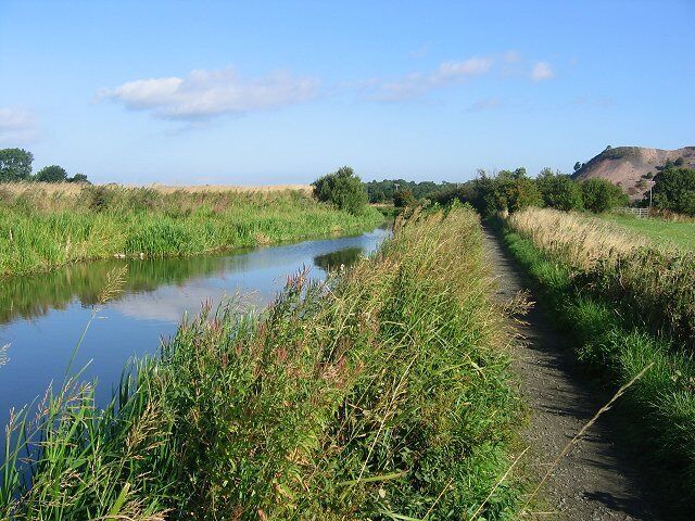 A narrow water channel flanked by tall grasses and a dirt path.