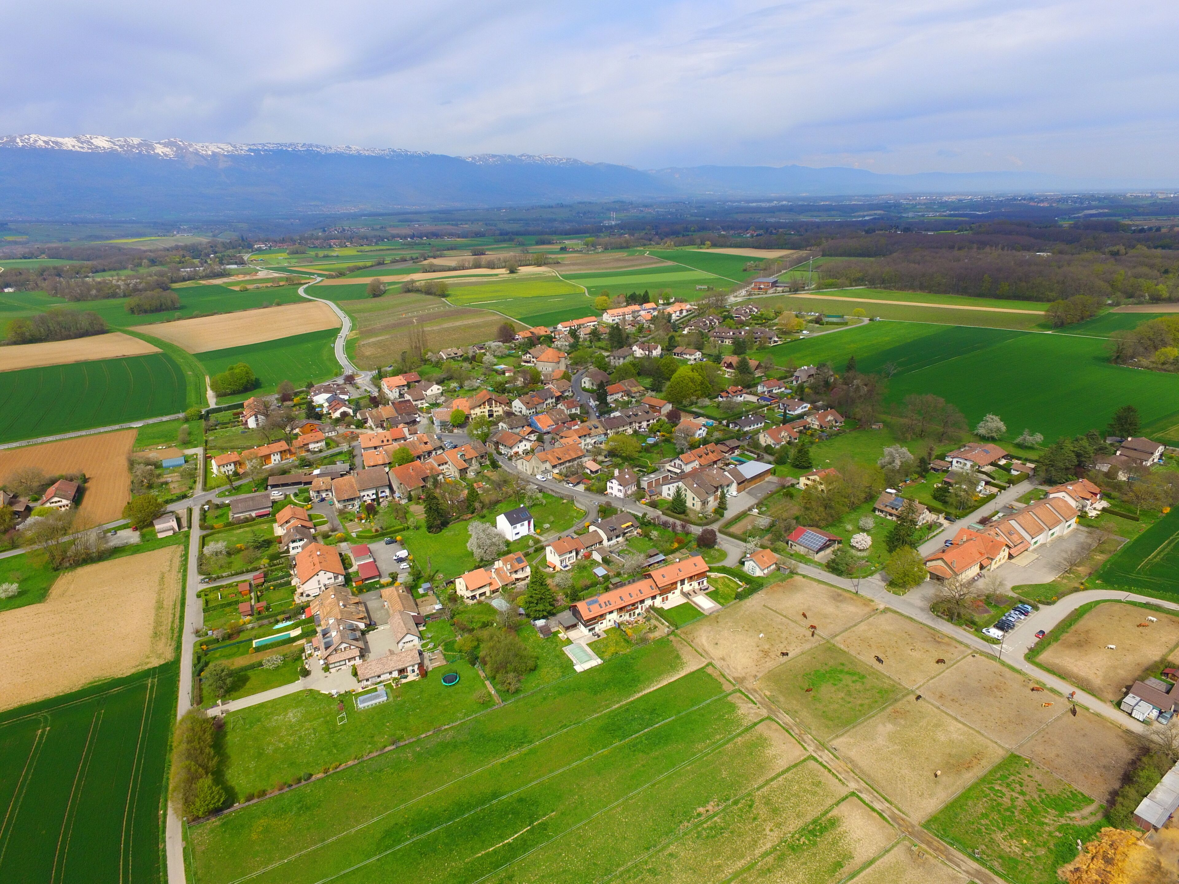 A rural village with houses, fields, and mountains in the background.