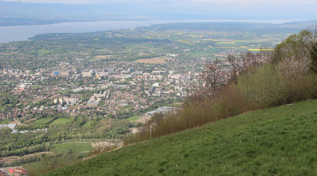 View on Geneva from the Salève