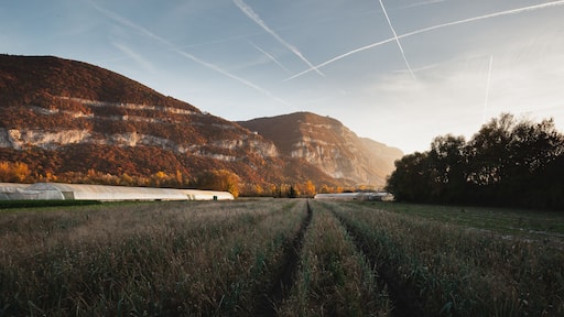 Monnetier-Mornex