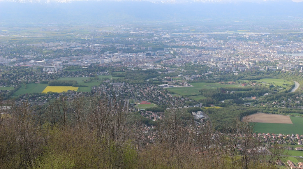 View on Geneva from the SalĂšve