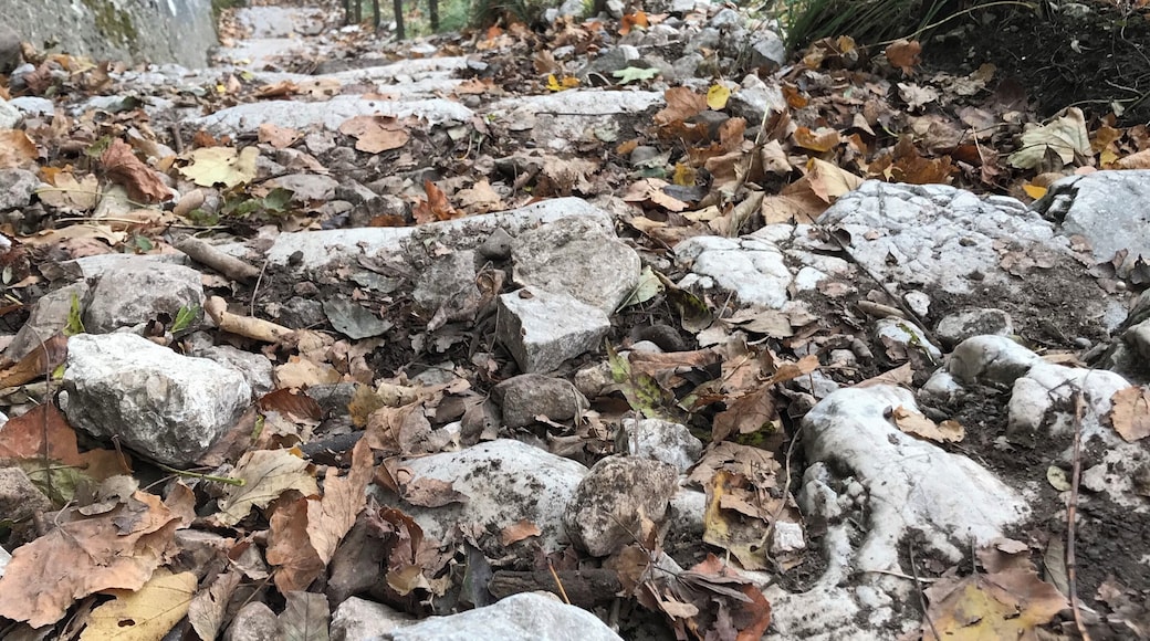 Lovely autumn hike to Mont Saleve just outside Geneva...
About 1.5 hours to the top without breaks!
Enjoy the view! đ
#geneva #lifeatexpediagroup