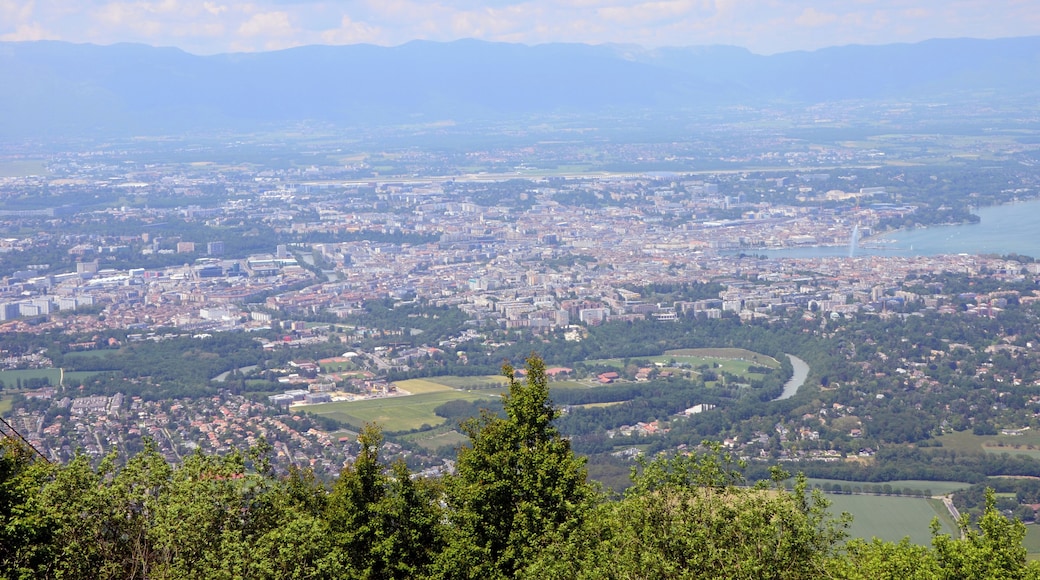 Geneva seen from Mount SalĂšve
