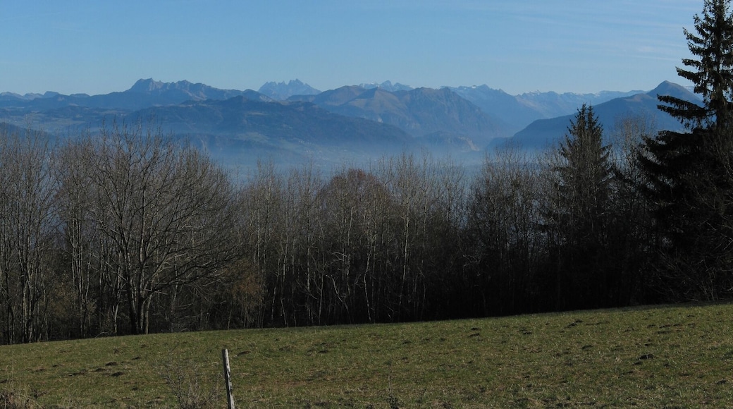 Alps viewed from the SalĂšve