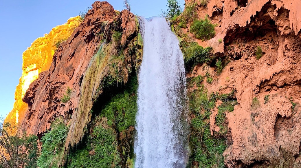 There is no other place like this!
Hiking to Havasupai in the Western side of the Grand Canyon is a one in a lifetime experience in one of the most magical places in the world.
#adventure #waterfall #arizona