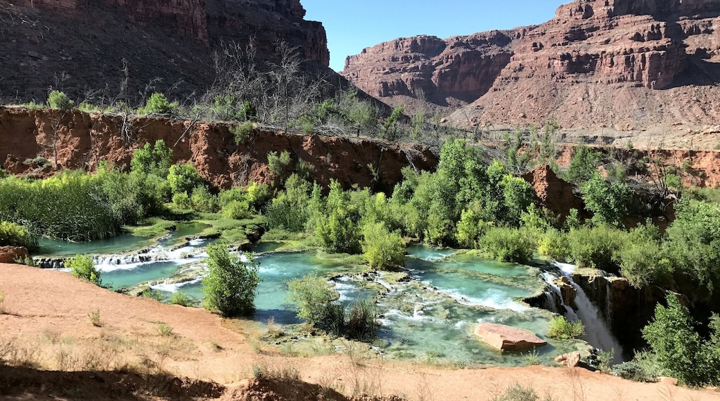 Such an Amazing place, it is not the easiest to get to but so worth it!! #red #rocks #roadtrip #hiking #miles #remote #places #teal #epic #nature #amazing #must #dream #waterfall #river #native #land #hiking #nofilter #miles #beautiful #canyon #parks #BeachTips