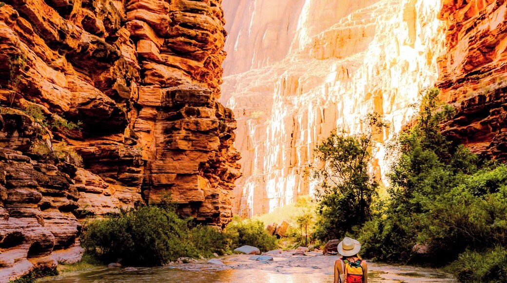 You can follow Havasu Creek all the way to the confluence of the Colorado River. It makes for a long day but it’s worth it for these views. #adventure #adventurephotocontest