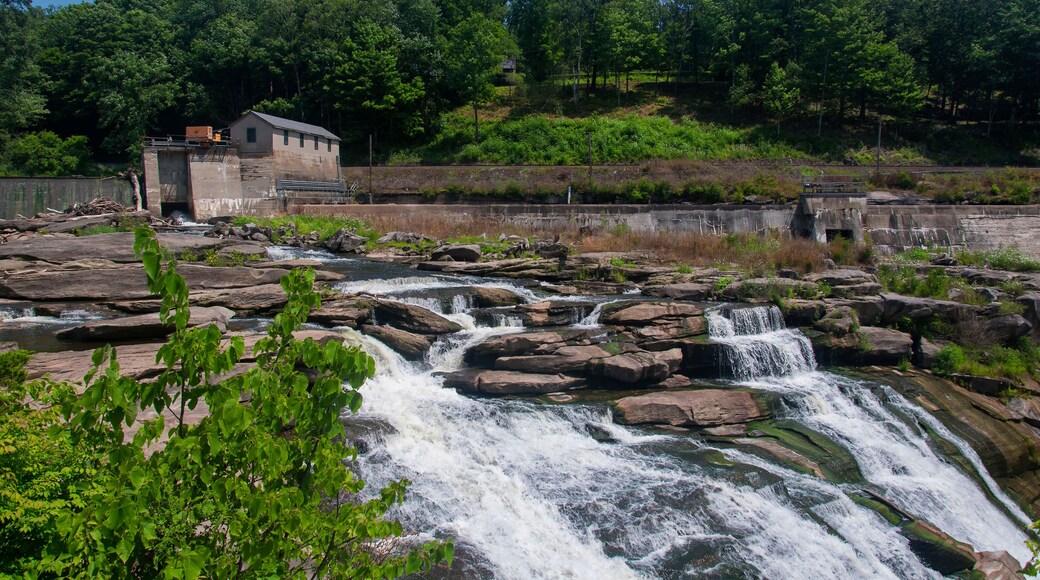 Great Falls Summer Landscape Caanan