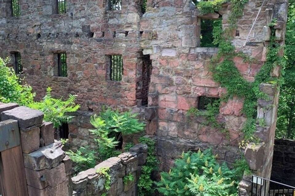 A historic stone structure with ivy growth, surrounded by lush greenery and trees.