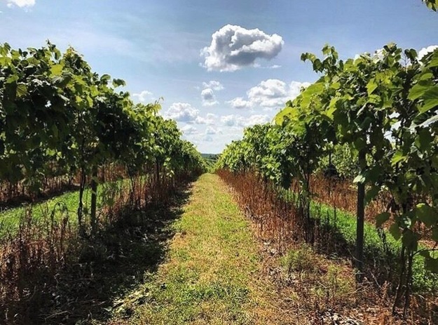 Some strolls are wine fueled
#ontheroad