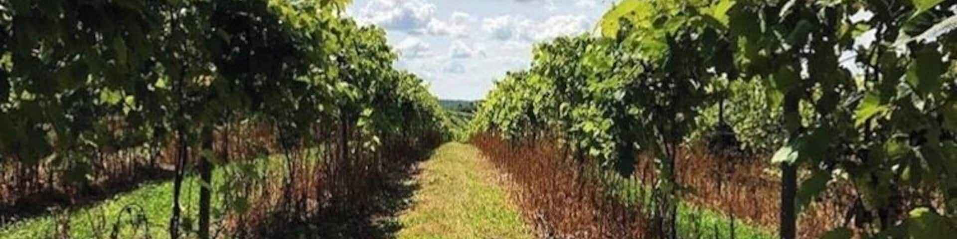 Some strolls are wine fueled
#ontheroad