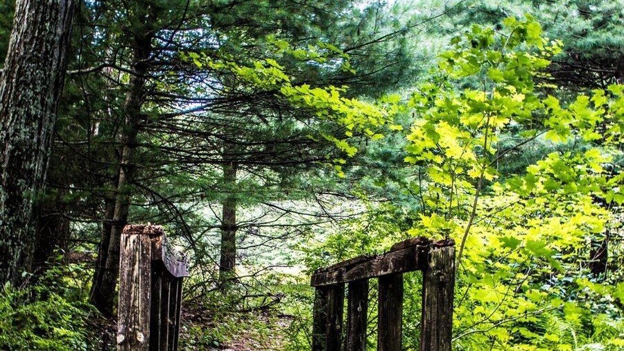 Enders State Park... The forest was established in 1970 with a 1,500-acre parcel of woodlands donated to the state by the children of John and Harriet Enders. Really wooded .. and Lots if hills but you get off the beaten path!