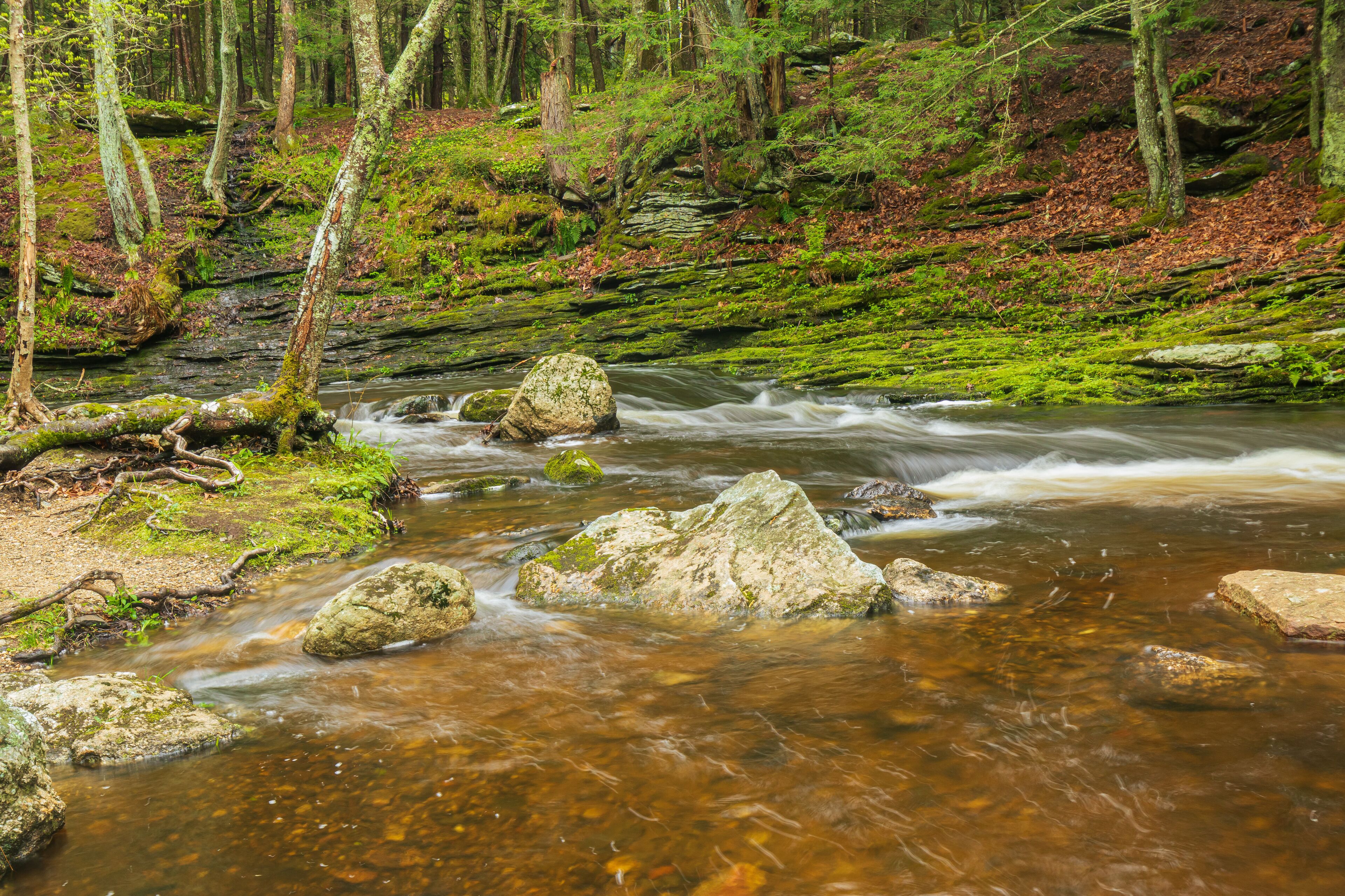 Raymond Brook flowing by moss-covered rocks