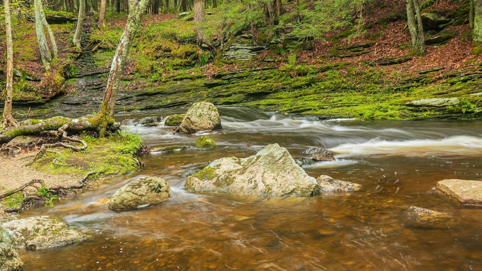 Raymond Brook flowing by moss-covered rocks
