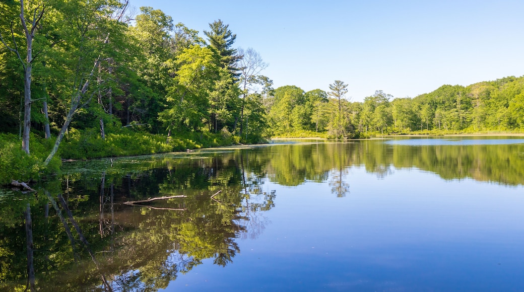 Trees reflected in the calm water of Gay City Pond in Hebron, Connecticut