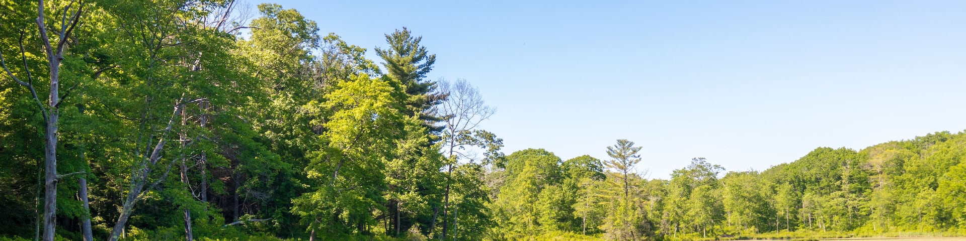 Trees reflected in the calm water of Gay City Pond in Hebron, Connecticut
