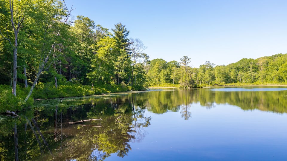 Trees reflected in the calm water of Gay City Pond in Hebron, Connecticut