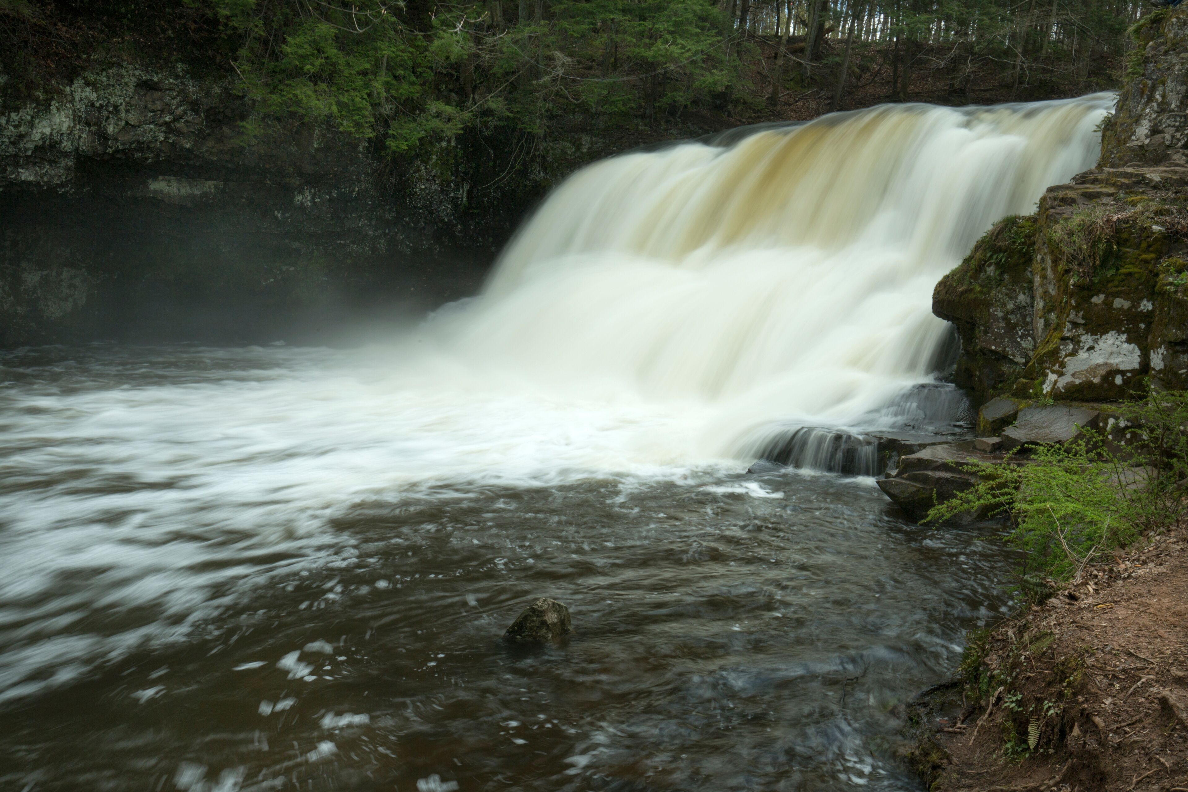 มิดเดิลฟีลด์